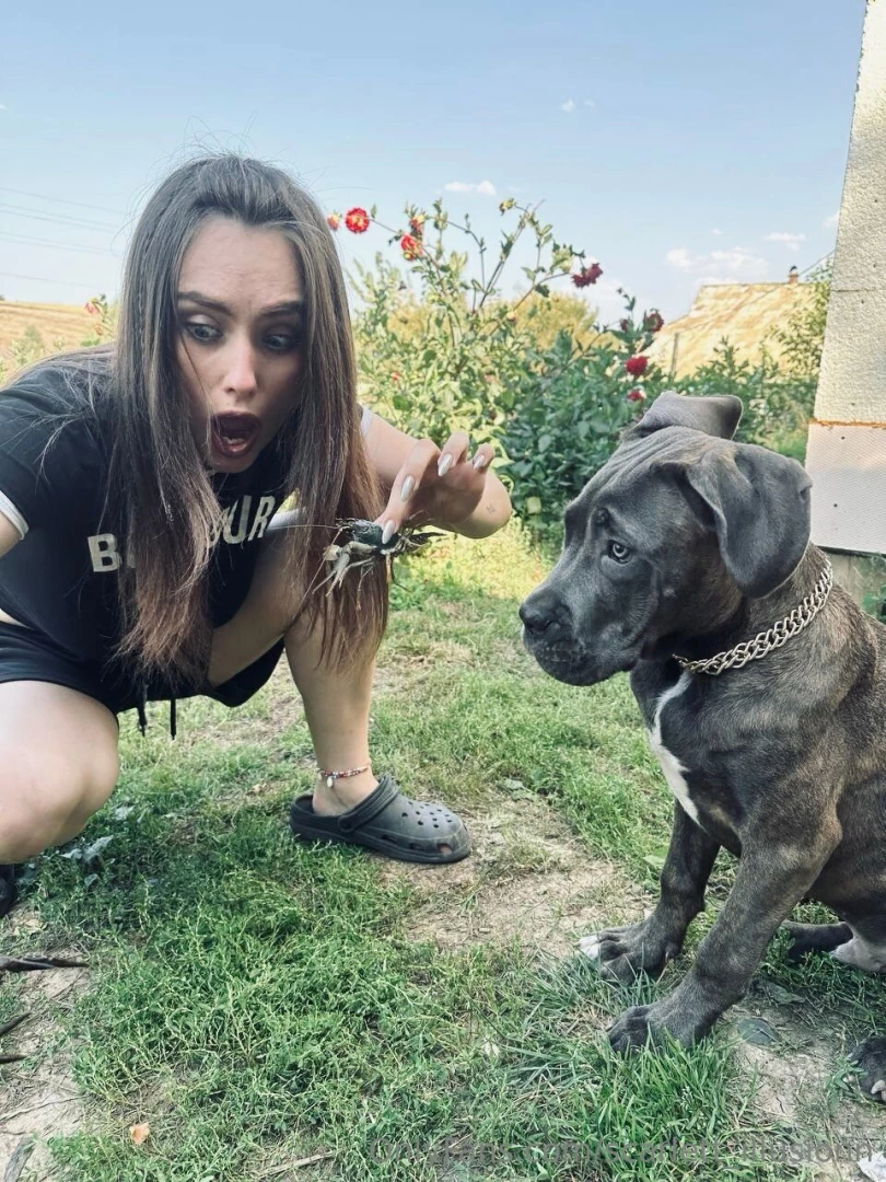 My dog s face says you re on your own with this one 