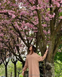 I miss spring so much cherry blossoms birds start singing days are