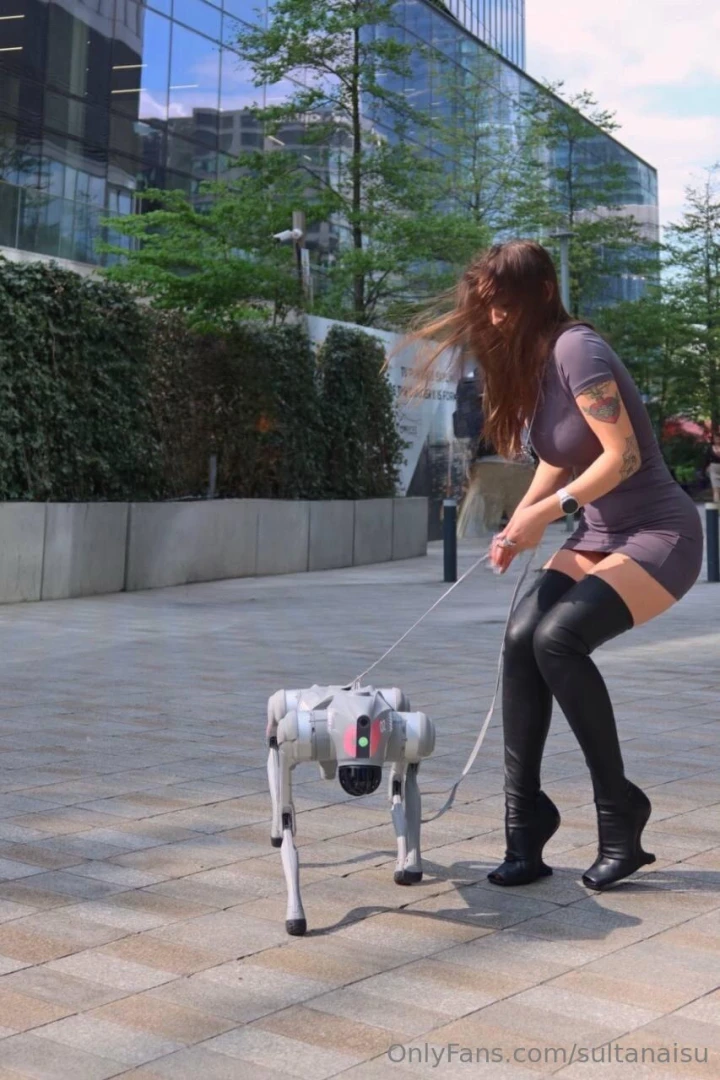 Just a girl out walking her robot dog totally normal stuff who s a part 2 