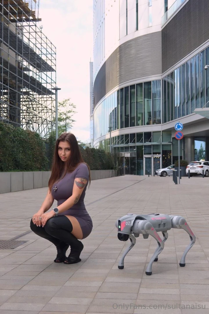 Just a girl out walking her robot dog totally normal stuff who s a part 1 