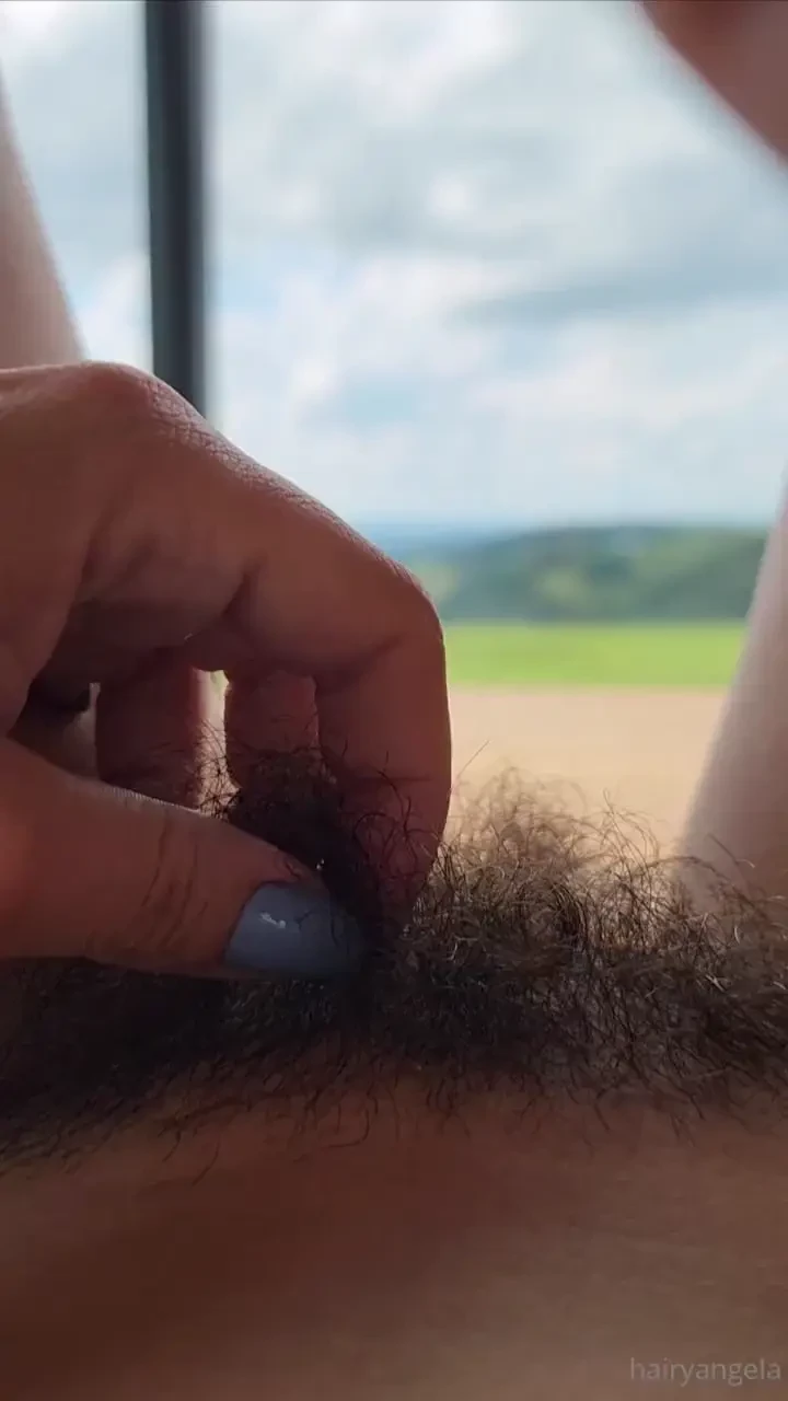 Hairy mountain 