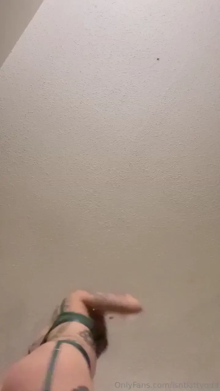 Told the cat to get off the table she wouldn t listen check your dms 