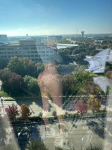 Dm me for more wild content