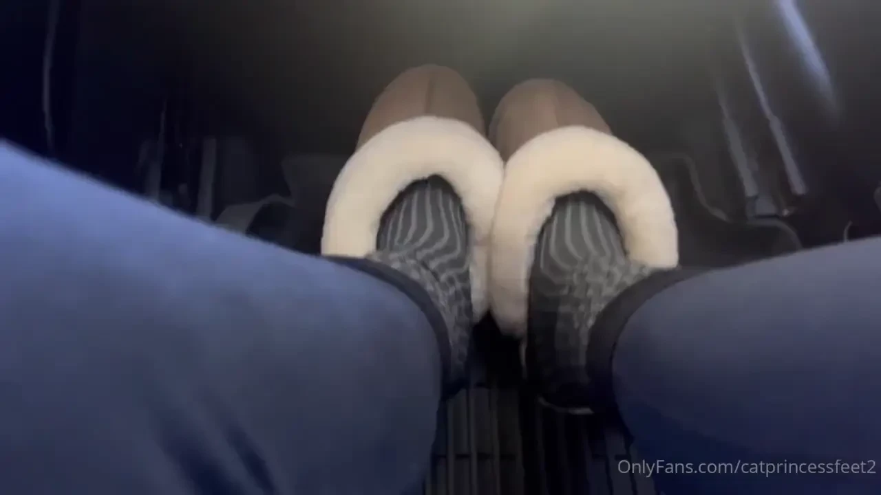 Homeward bound part 1 