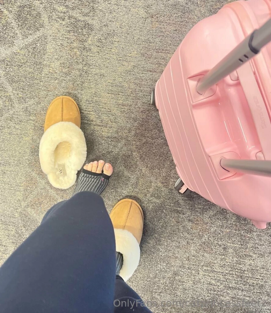 Homeward bound part 2 