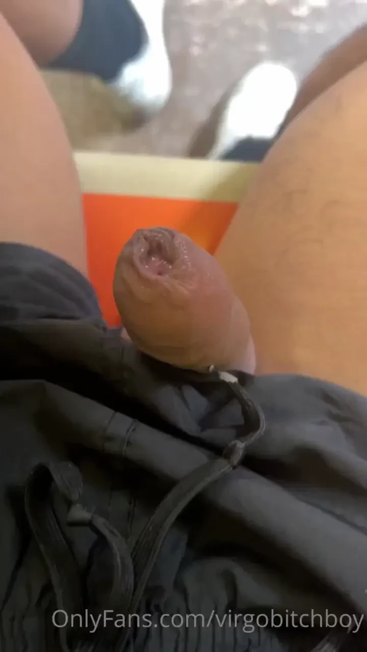 Not the best video but couldn t help but take my dick out on the train 