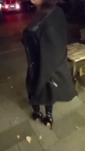 Review of the passion fair my master and i drove towards hamburg on part 1