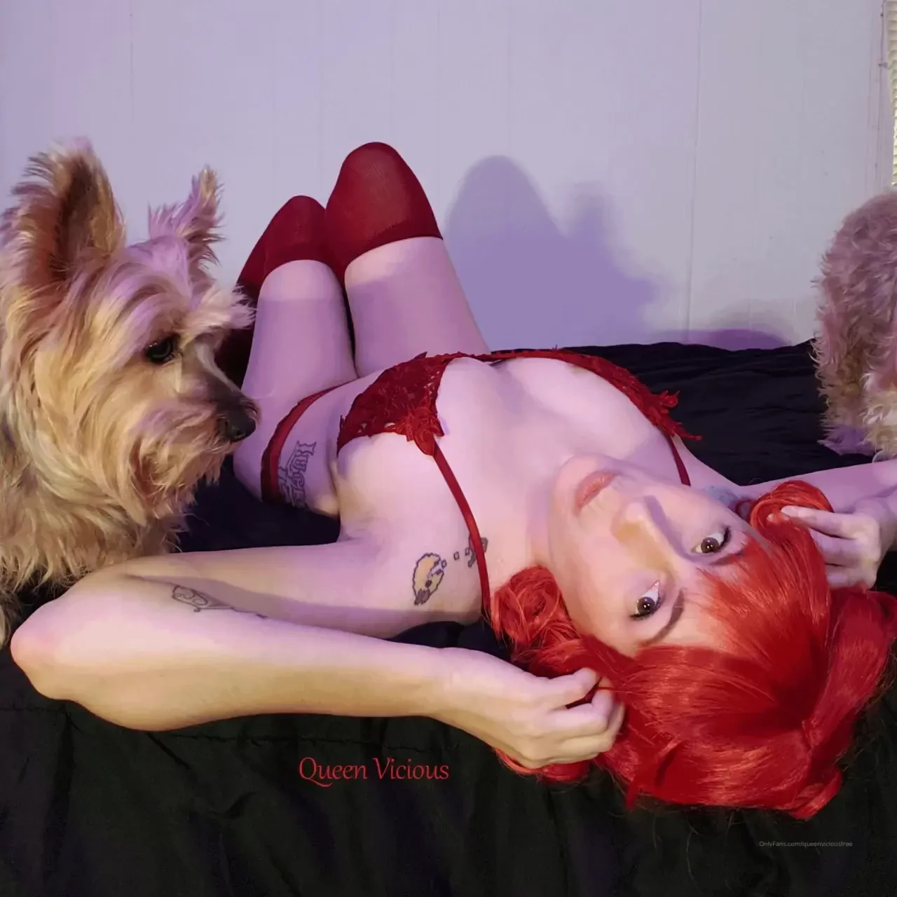 Here s a fun preview of the ruby set with some adorable sidekicks 