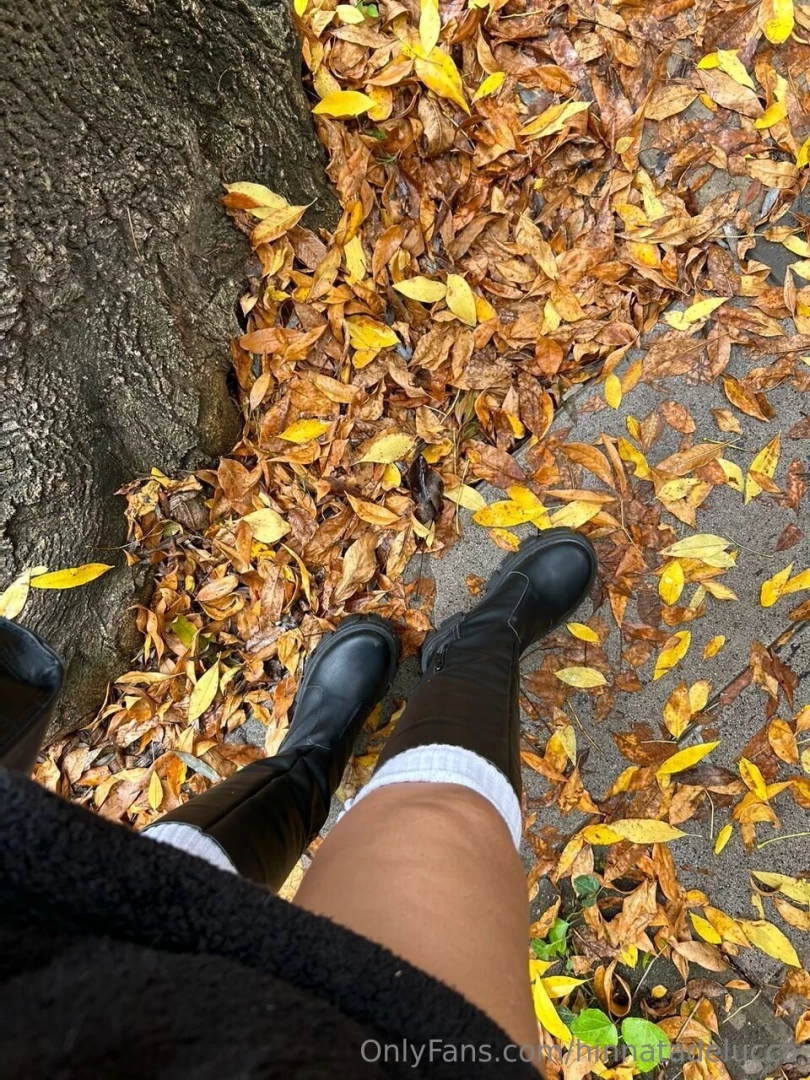 I found fallen leaves in the park and i immediately wanted to be in an 