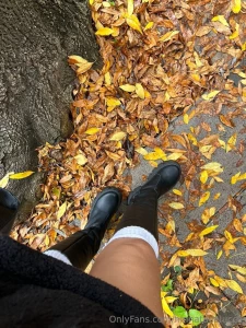 I found fallen leaves in the park and i immediately wanted to be in an