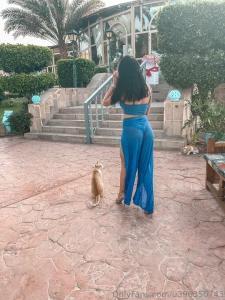 Cat mommy love egypt