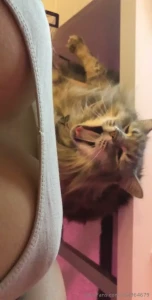 An attention loving brat just like me