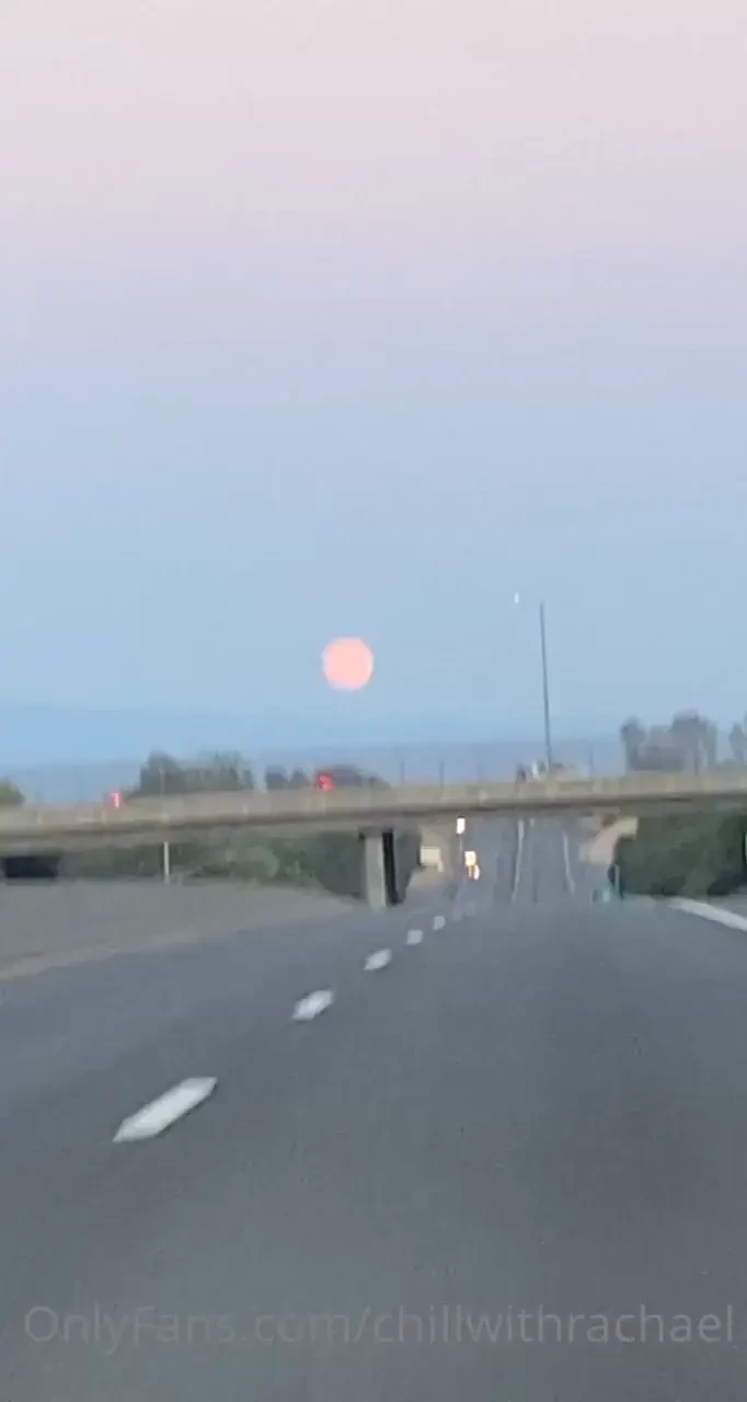 So i ve been off for a few days just to let y all know i m not dead part 2 