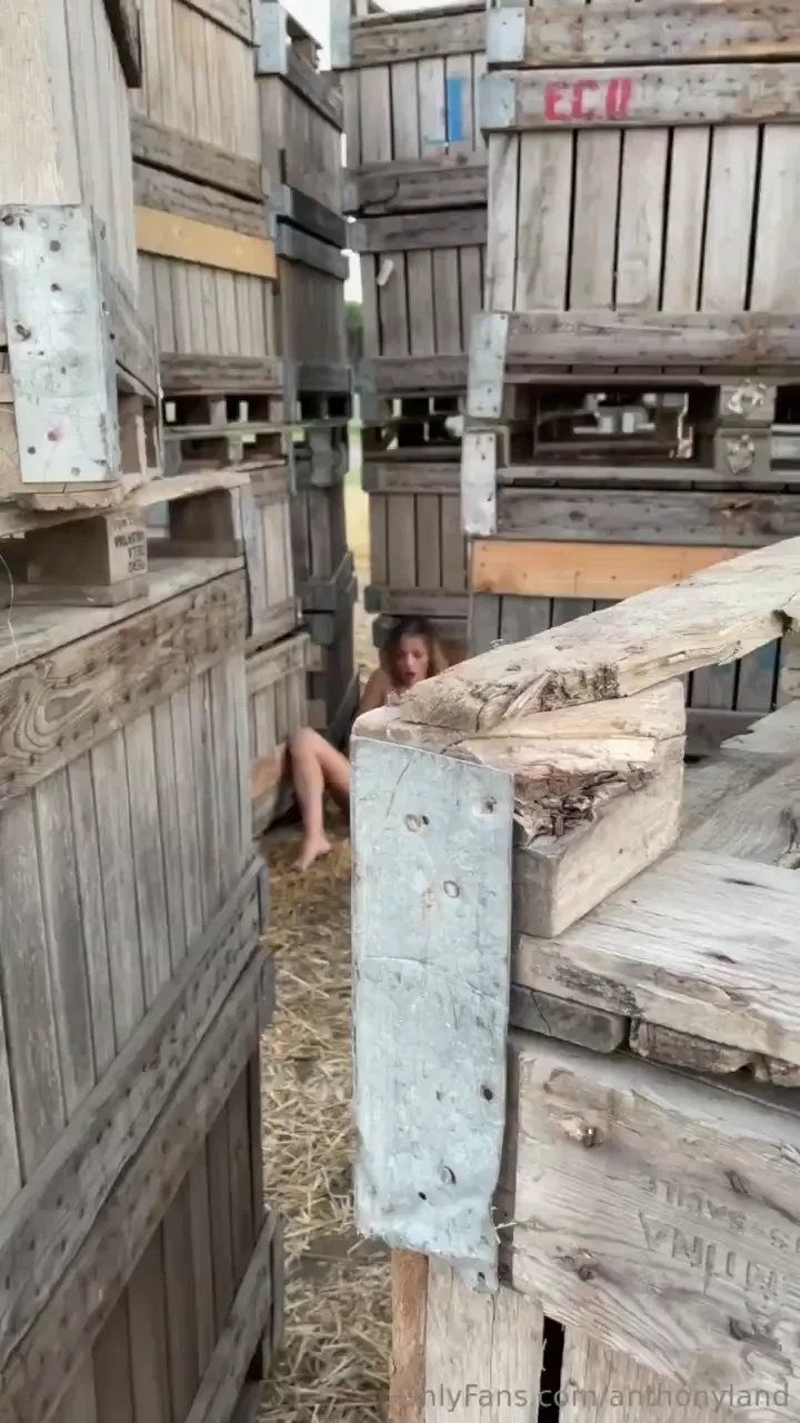 Qualche giorno fa in un campo ad anthonyland successo questo 