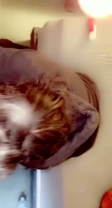 I look the best with cock in my mouth part 9