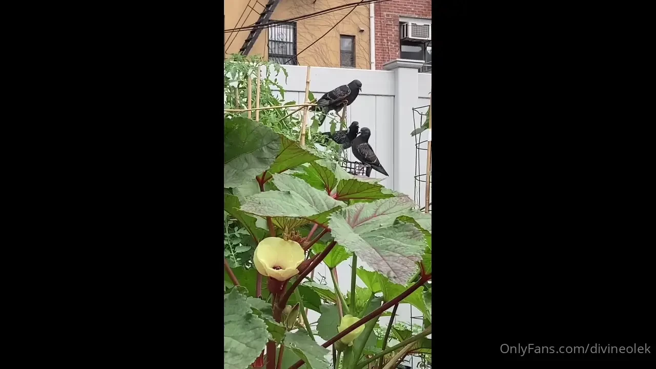 Do one thing every day that scares you 