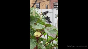 Do one thing every day that scares you