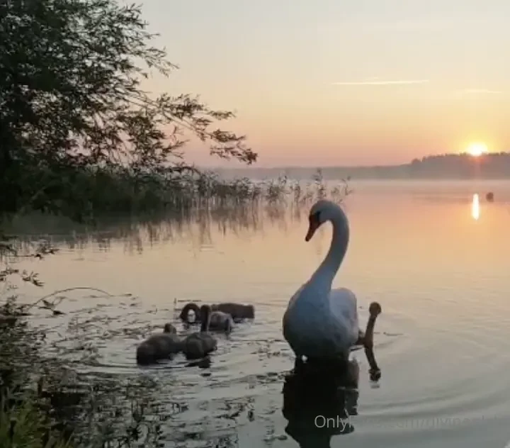 Almost doesn t count 