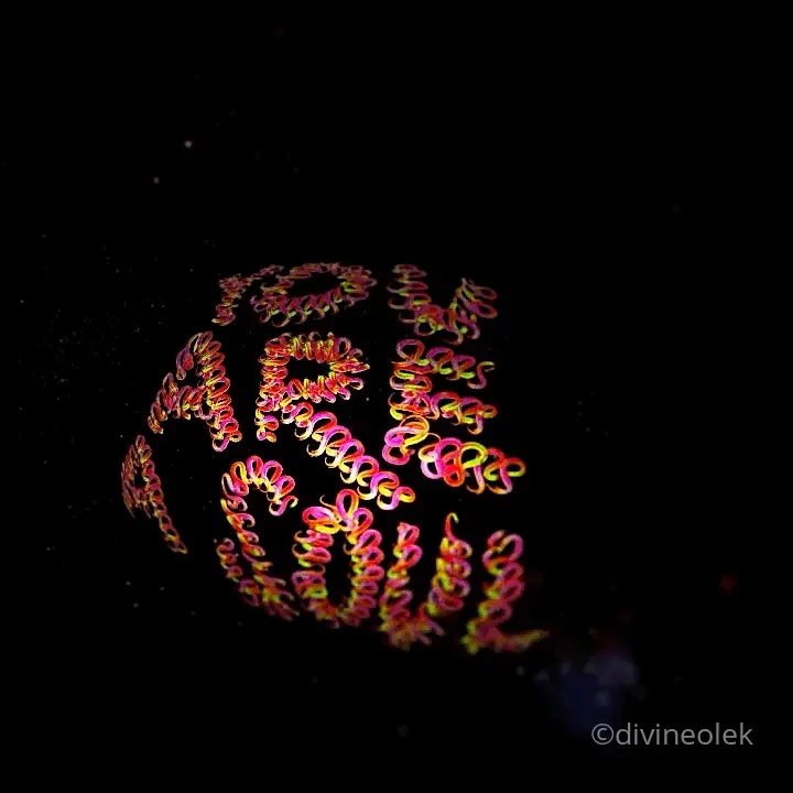 Https rarible com user 0x81d38365caabb3791111457a12eb62b9ea5577e5 you part 1 