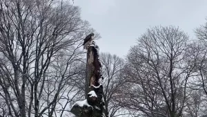 The mailman that delivers us messages from beyond central park my