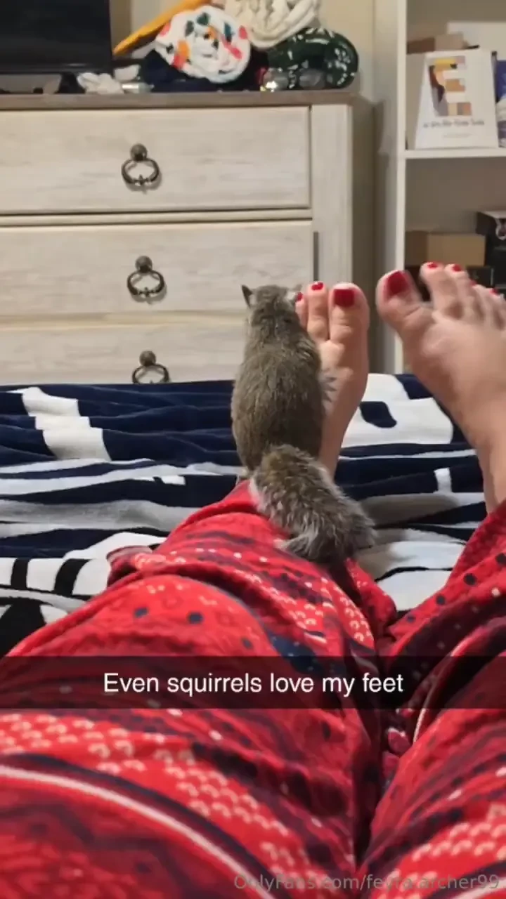 Fun fact about me i have a squirrel i m rehabbing she fell out of a part 1 