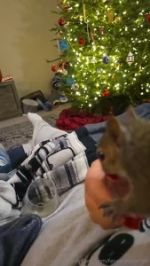 Fun fact about me i have a squirrel i m rehabbing she fell out of a