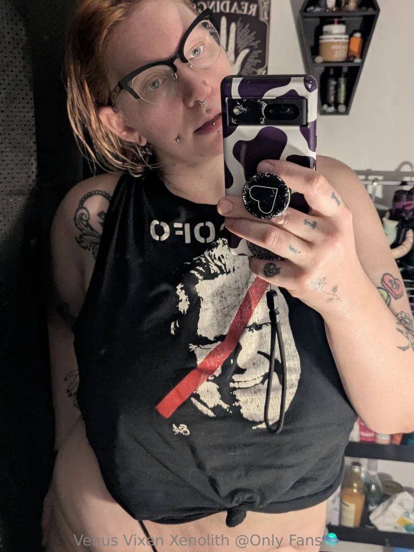 Venusvixenxenolith 