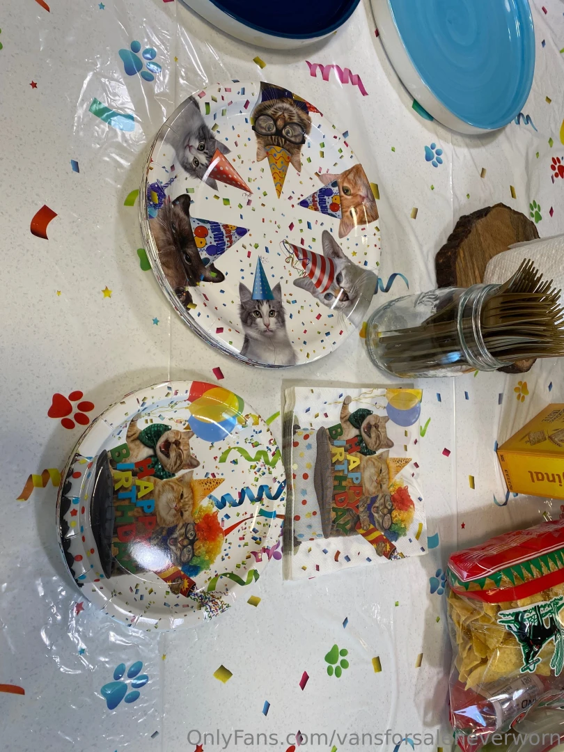 Some photos from my surprise cat themed birthday party was super part 1 