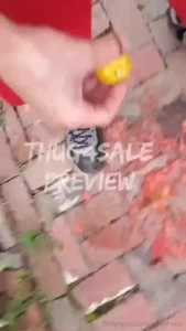 Making tomato juice 8 minutes of crush watch me pick fresh tomatoes