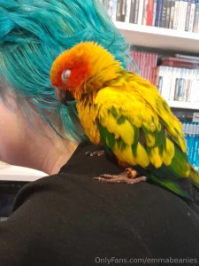 His name is chilli and i love him he will hopefully not be in any