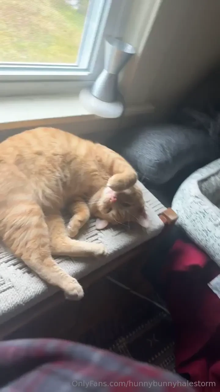 Pipes froze and then thawed while i was out and i came back to a pond 