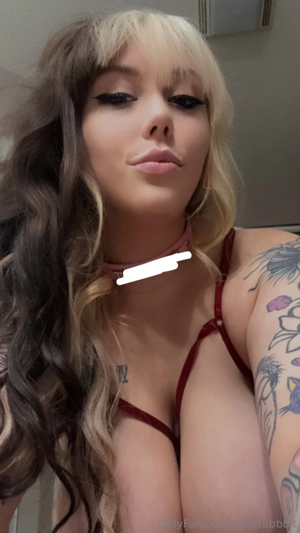 Can you guess what the collar says 