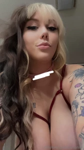 Can you guess what the collar says