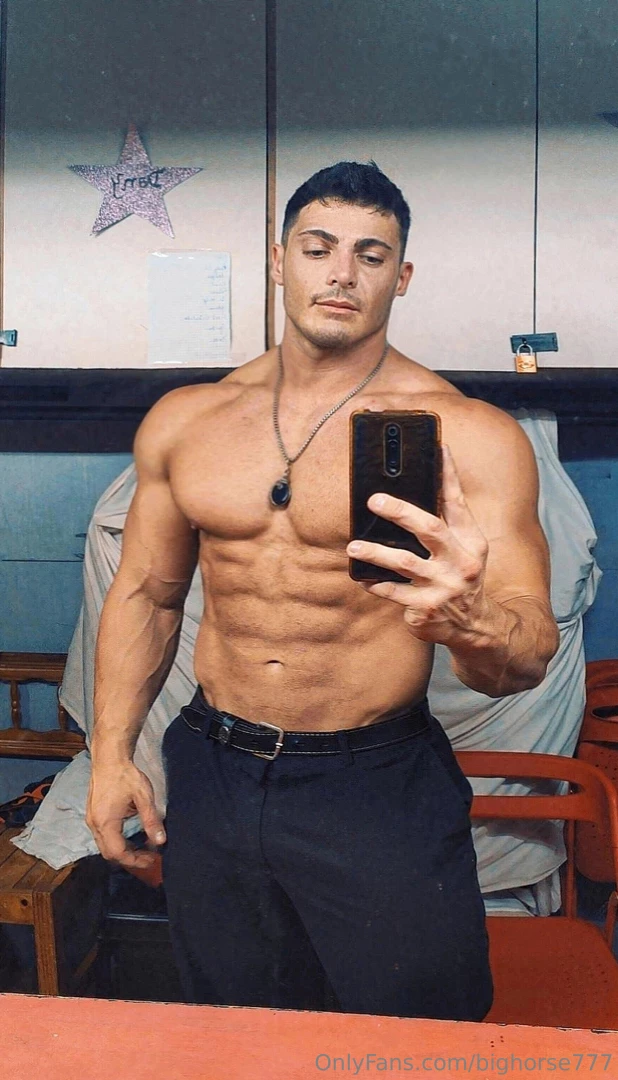 Thoroughbred star horse 