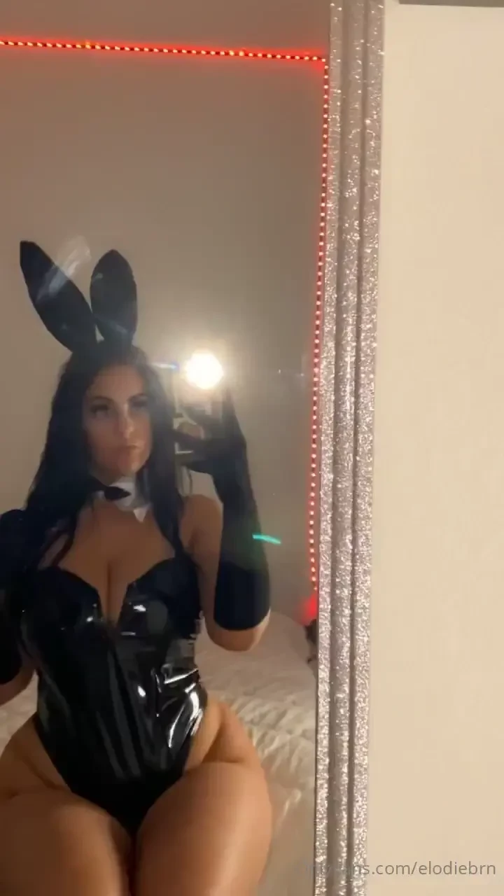 Vous aimez les lapins 