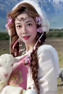 Fyp trans asian