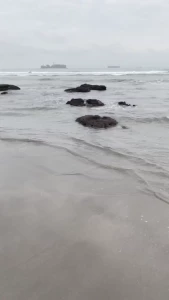 Day 5 morning continued took advantage of the sun breaking sunrise to