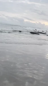 Day 5 morning continued took advantage of the sun breaking sunrise to part 2