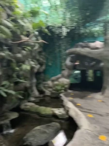 Day 3 no sun so i visited the aquarium in veracruz 20 min tour and was