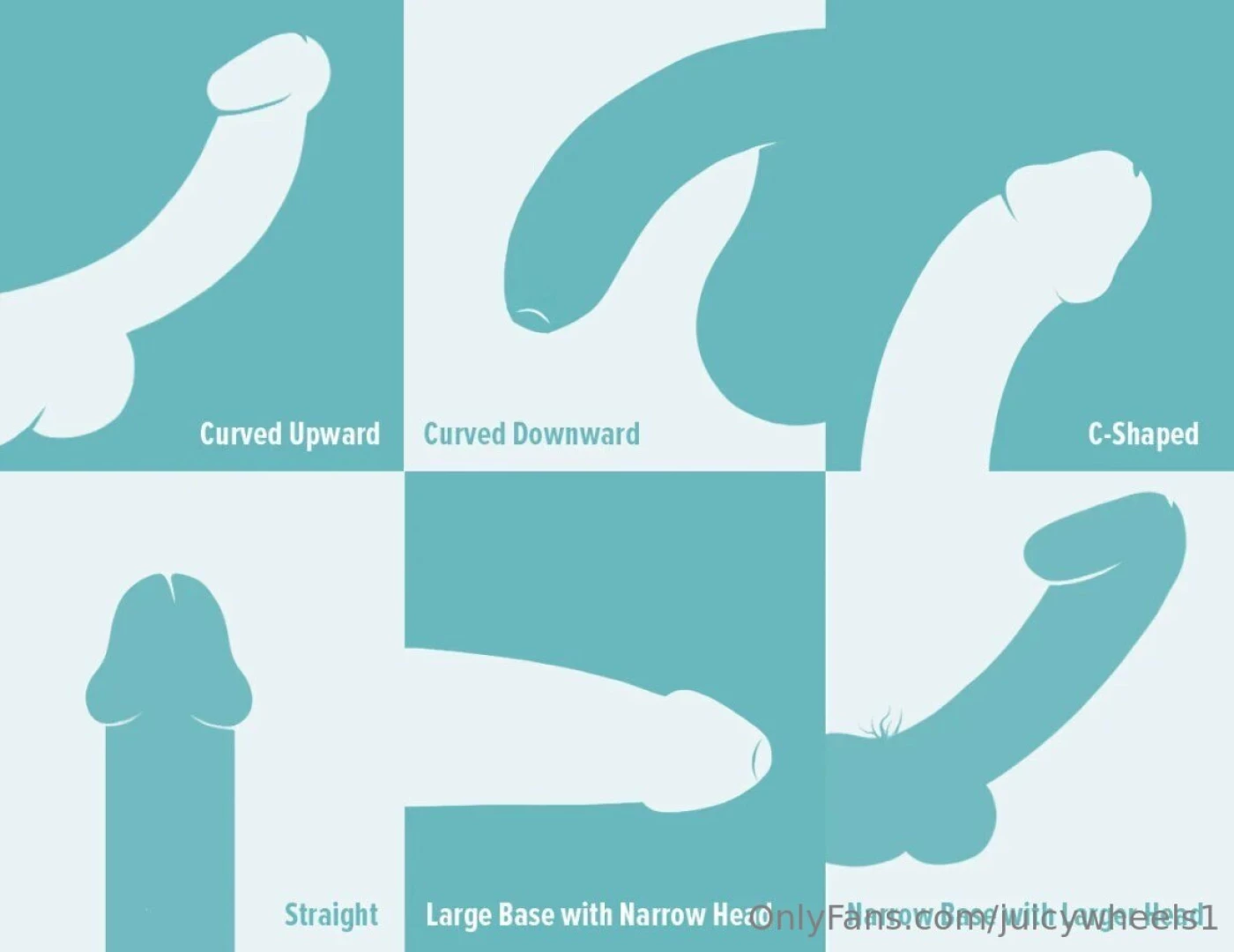 What is the shape of your cock 