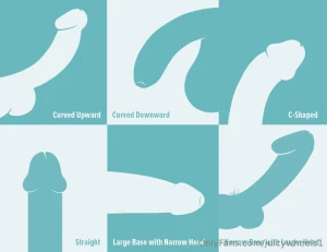What is the shape of your cock