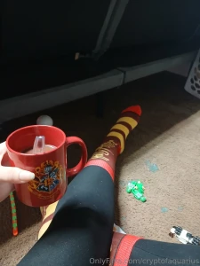 Have a very merry hogwarts christmas