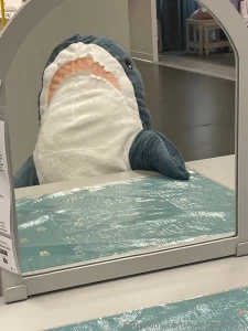 I had so so much fun and got a new shark part 2