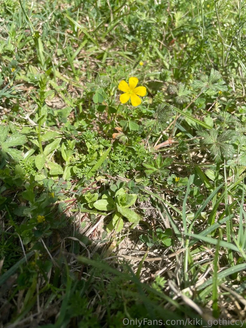 Spring has sprung i touched grass today have you part 5 
