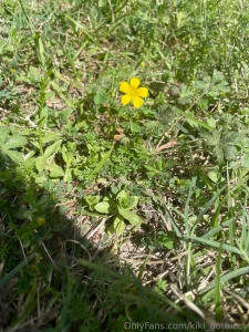 Spring has sprung i touched grass today have you part 5