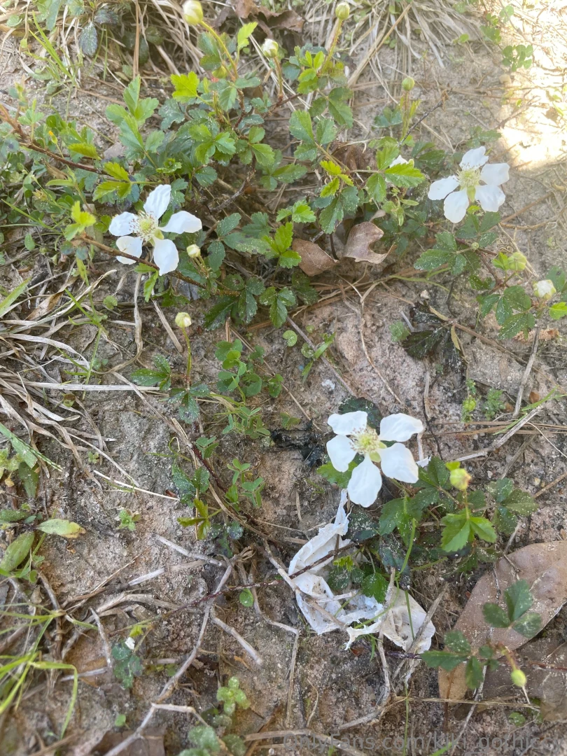 Spring has sprung i touched grass today have you part 6 