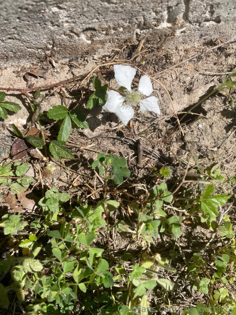 Spring has sprung i touched grass today have you part 3 