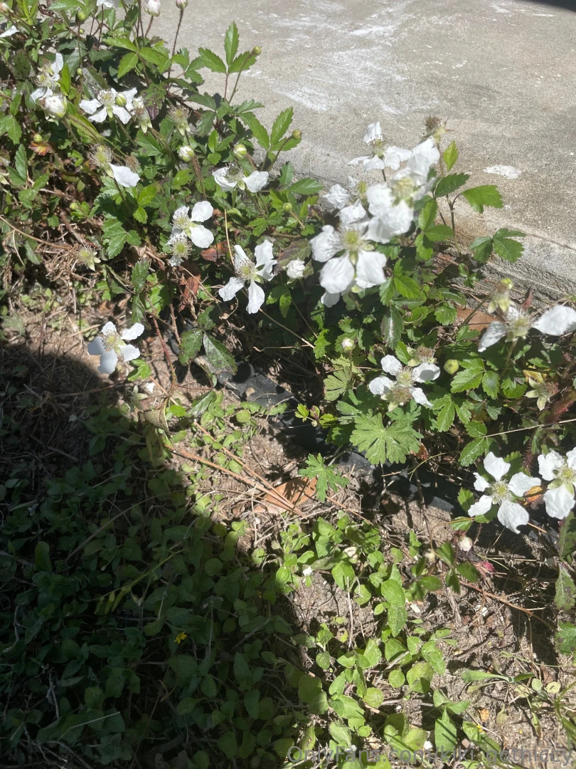 Spring has sprung i touched grass today have you part 4 