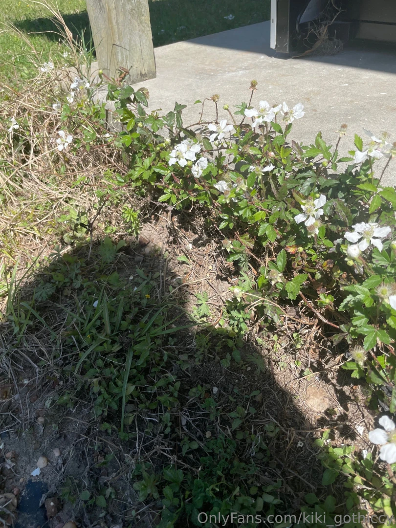 Spring has sprung i touched grass today have you part 2 