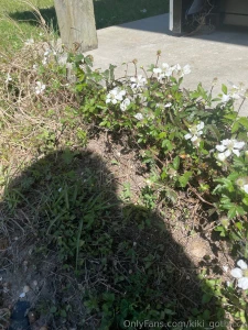 Spring has sprung i touched grass today have you part 2